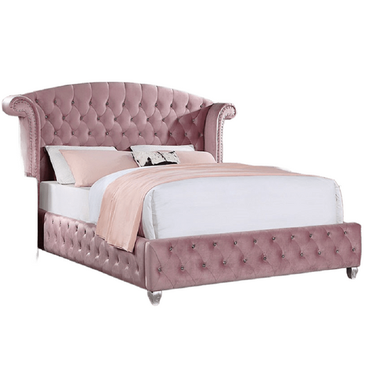 Zohar Little Glam Collection in Pink Velvet