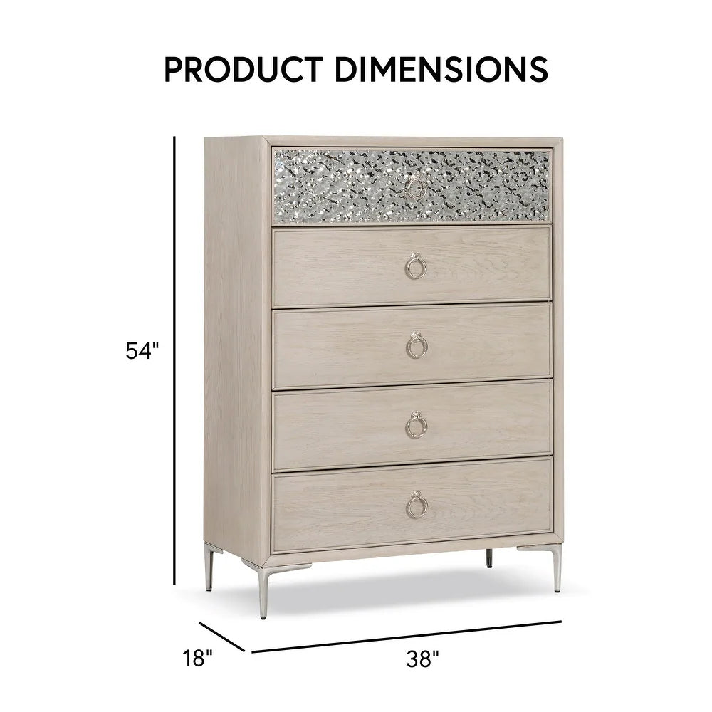 Bashford Modern 5-Drawer Chest with Dented Steel Door