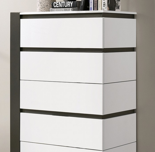 Birsfelden Modern High Gloss Bedroom Chest - White & Gray