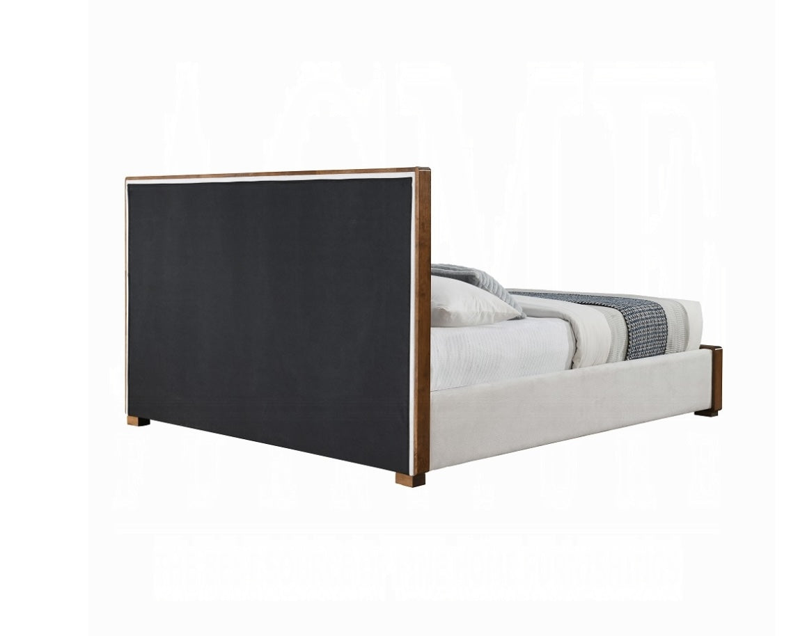 ACME Sandro Queen Bed in White Boucle & Walnut