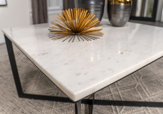 Tobin Square Marble Top Coffee Table White And Black