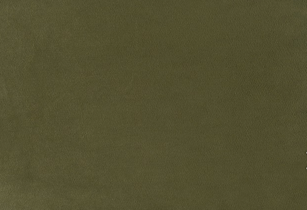 Finamore Camel-Back Queen Velvet Cloud Platform Bed with Oak Feet