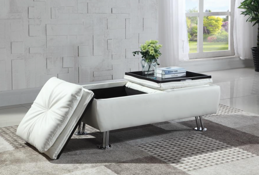Dilleston Leatherette Storage Ottoman - White