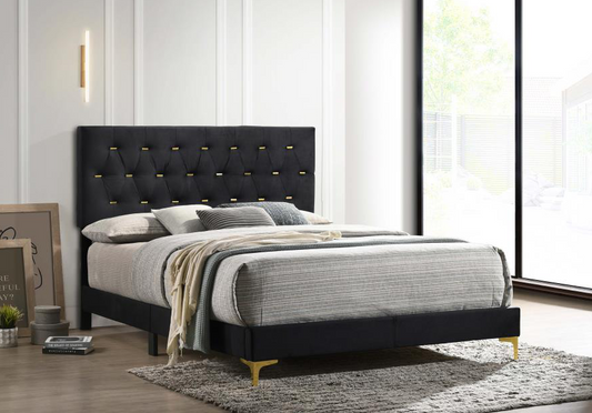 Kendall Velvet Panel Bed in Black & Gold - Queen