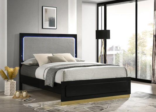 Caraway Wood Queen LED Panel Bed – Black