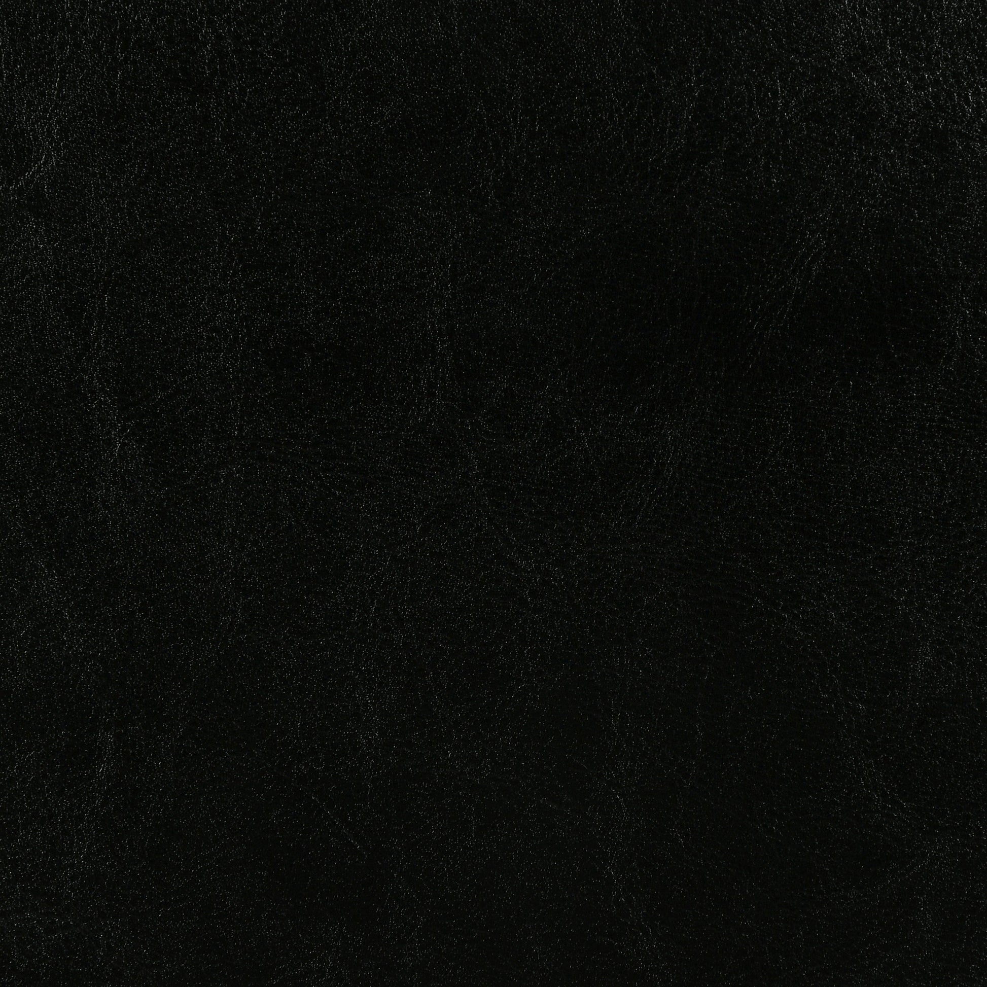 Dorian Faux Leather Upholstered Twin Panel Bed - Black