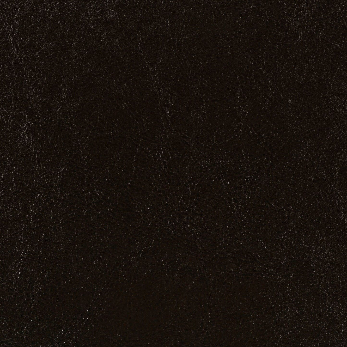 Dorian Faux Leather Upholstered Twin Panel Bed - Brown