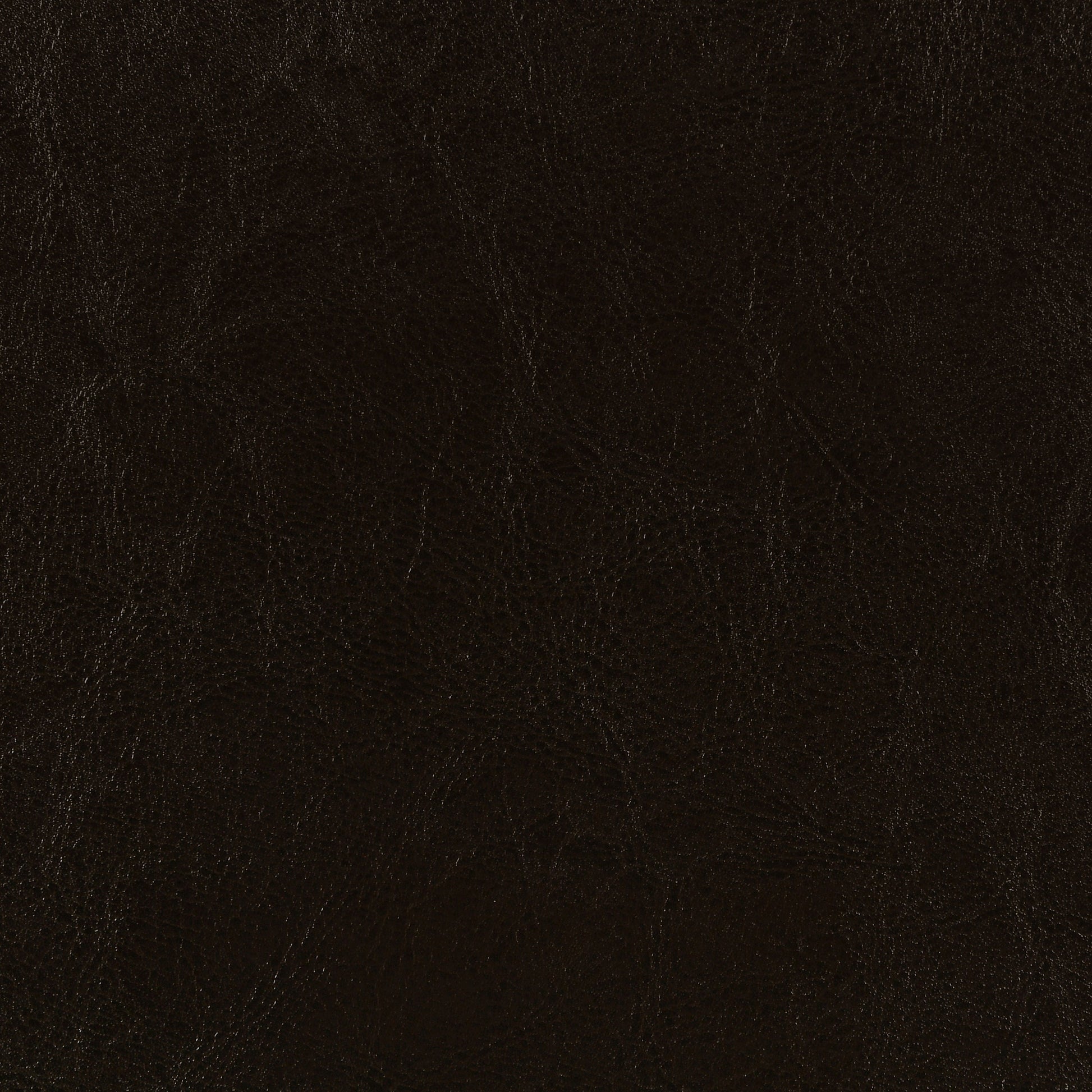 Dorian Faux Leather Upholstered Twin Panel Bed - Brown