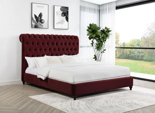 Devon 57" Upholstered Bed, Wine Red