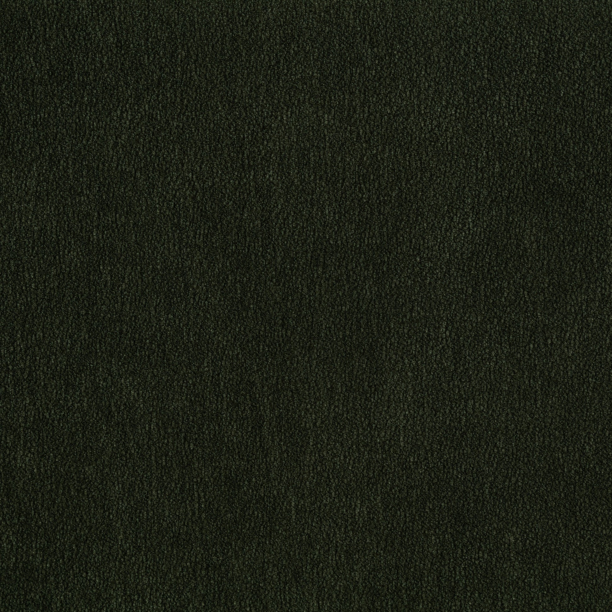 Ruth Transitional Chenille Sofa - Matcha Green - Finally Home Furnishings LLC