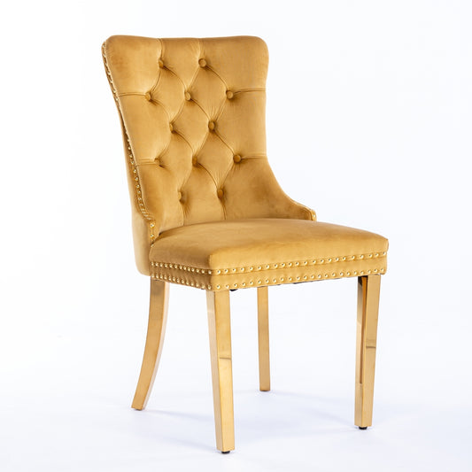 Niki Modern Velvet Side Chair with Nailhead Trim & Gold Leg Set of 2 Gold