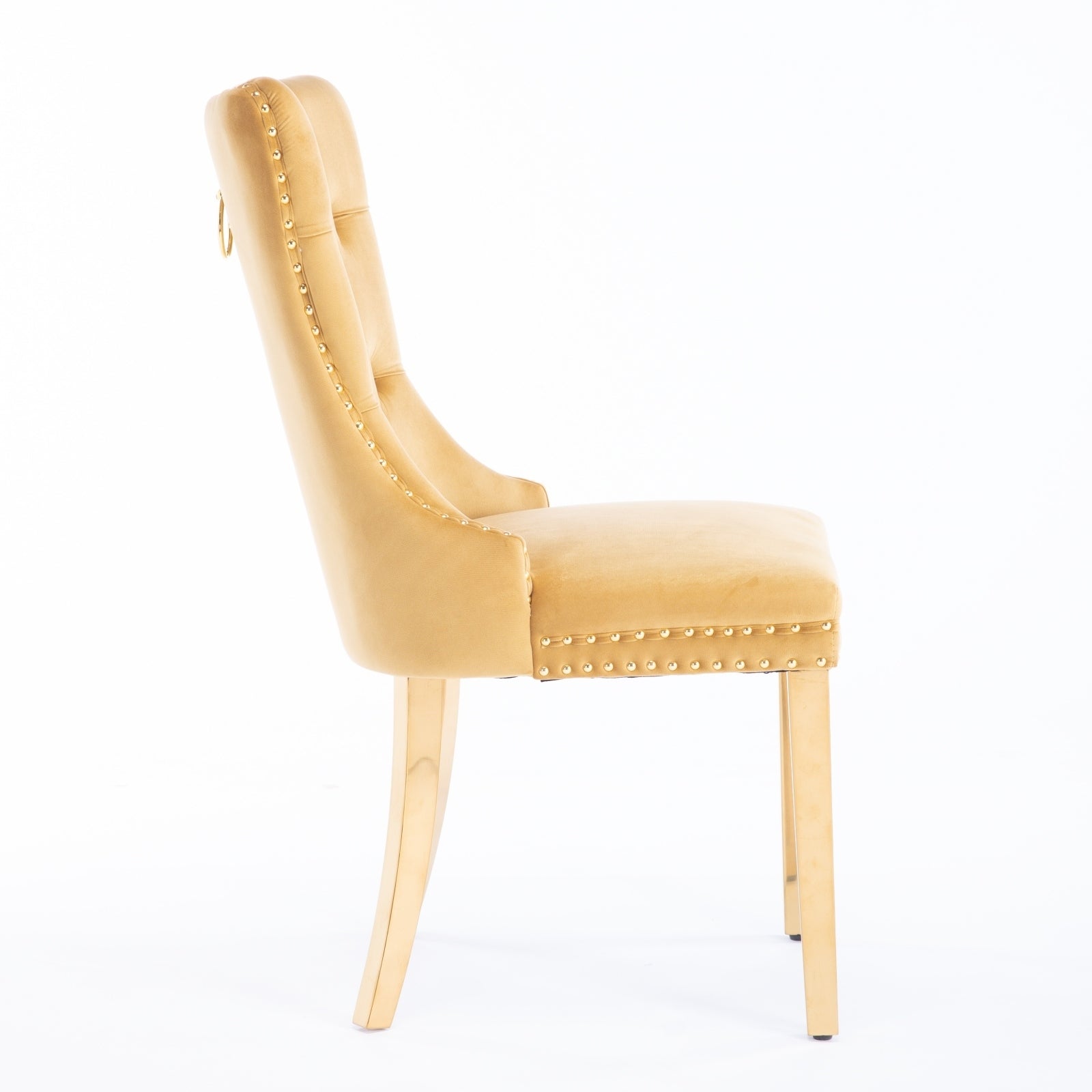 Niki Modern Velvet Side Chair with Nailhead Trim & Gold Leg Set of 2 Gold