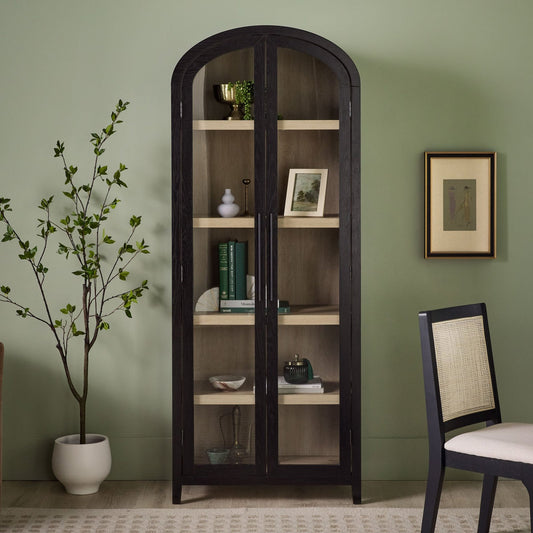 Arlen Modern 5 Shelf Arched Tall Bookcase with Glass Doors - Black
