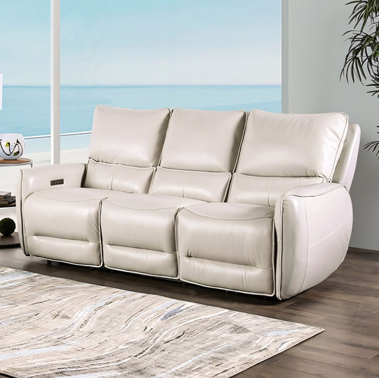 Phineas Transitional Power Reclining Sofa - Beige Leather