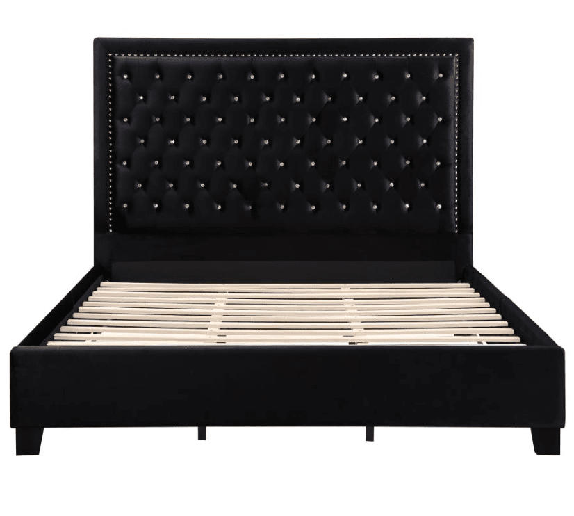 Hailey Upholstered Tufted Platform Queen Bed Black