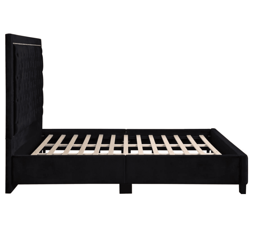 Hailey Upholstered Tufted Platform Queen Bed Black