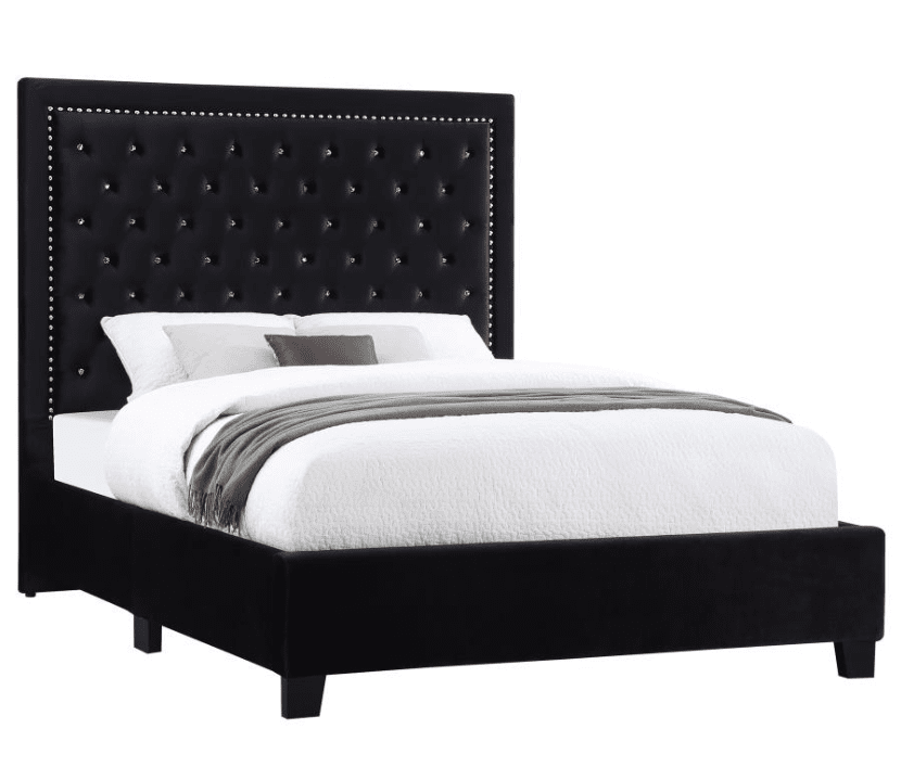 Hailey Upholstered Tufted Platform Queen Bed Black