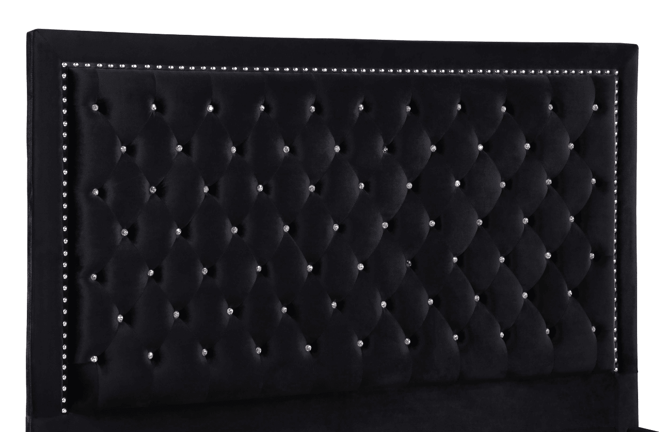 Hailey Upholstered Tufted Platform Queen Bed Black
