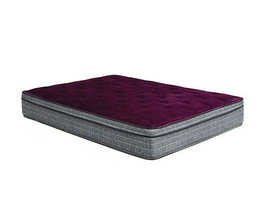Minnetonka 13" Euro Pillow Top Mattress with Purple Top
