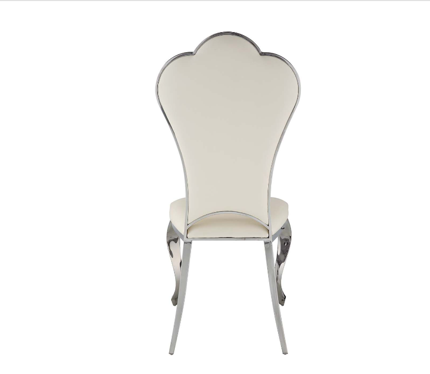 Cyrene Modern Dining Side Chair Set of 2 DN00929