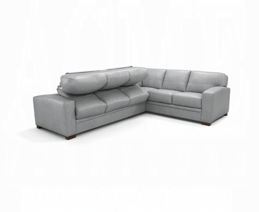 Goma Top Grain Leather Sectional Sofa W/Sleeper - Light Gray