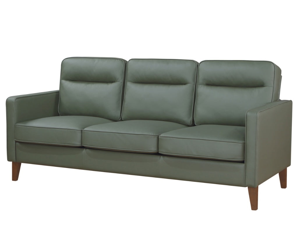 Jonah Upholstered Track Arm Living Room Set - Green