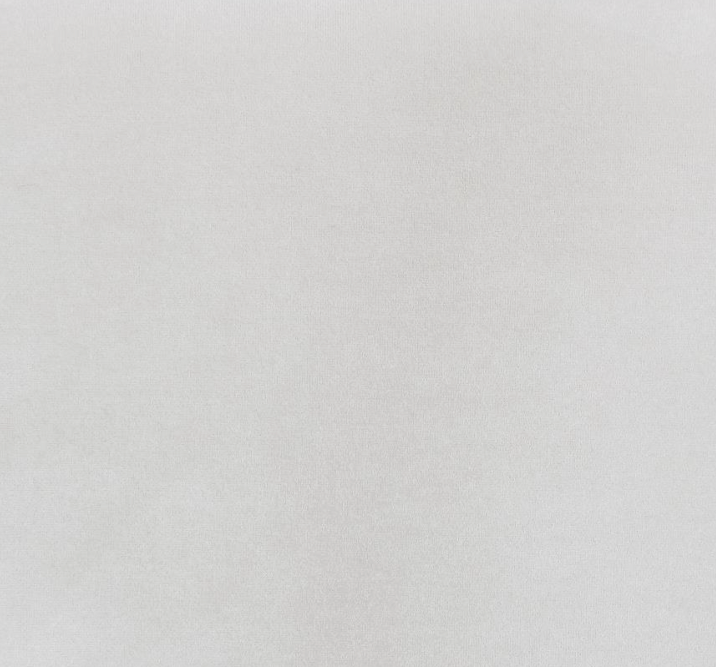 Panes Beige Velvet Upholstered Queen Bed