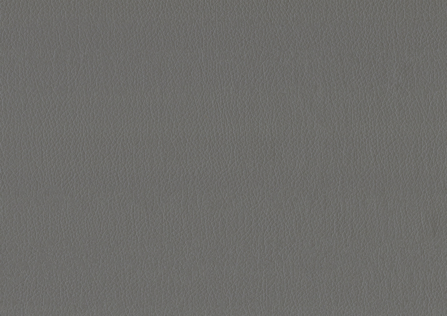 Laken Gray Faux Leather Contemporary Daybed with Trundle