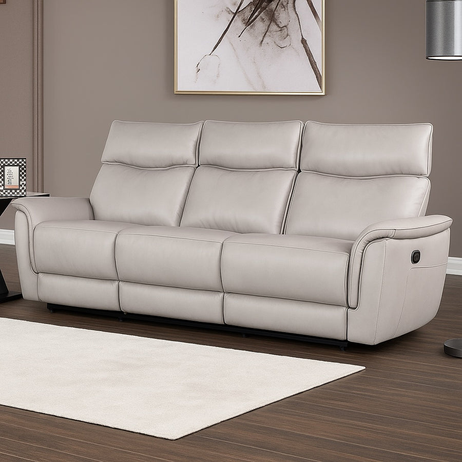Bienne Transitional Leather Reclining Sofa - Taupe