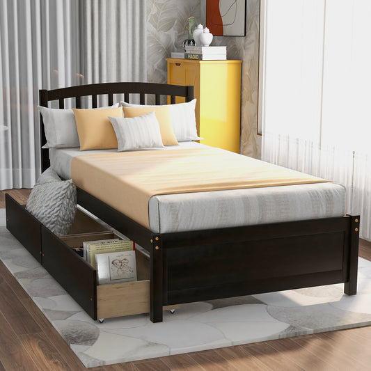 Salem Twin Platform Bed with 2-storage Drawers, Black