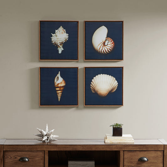 Four framed images of shells on a wall above a wooden console table.