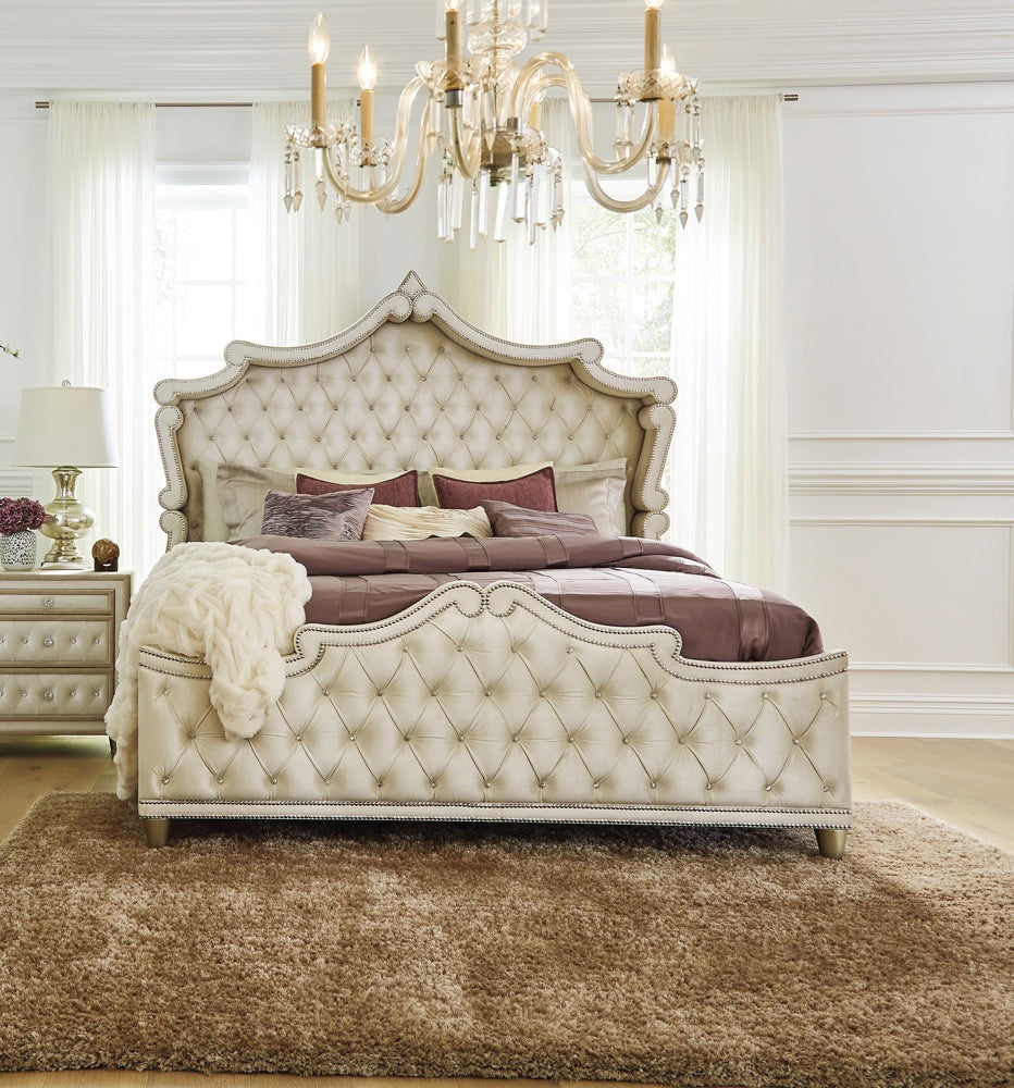 Antonella Upholstered Tufted Bed Ivory and Camel