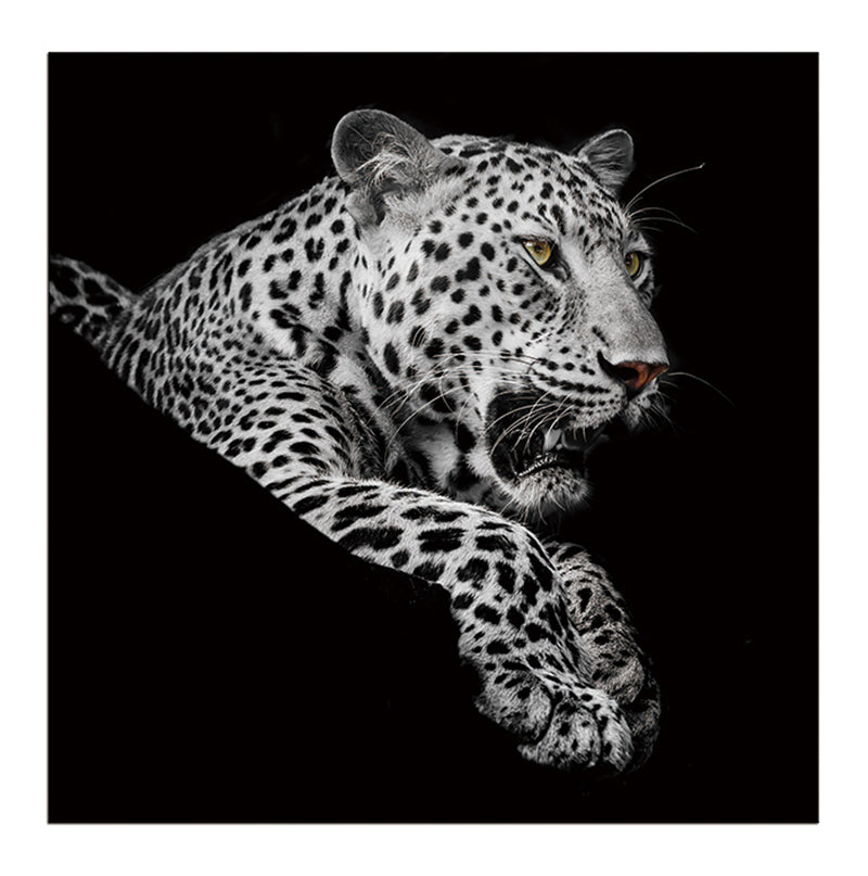 Oppidan Home "Leopard in Black and White" Acrylic Wall Art 40"H X 40"W