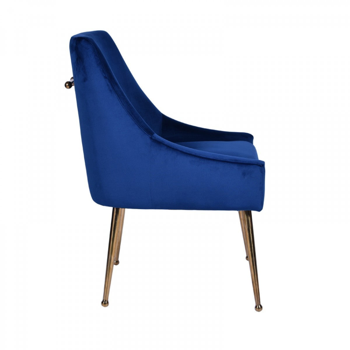Modrest Castana Modern Blue Velvet & Gold Dining Chair Set of 2