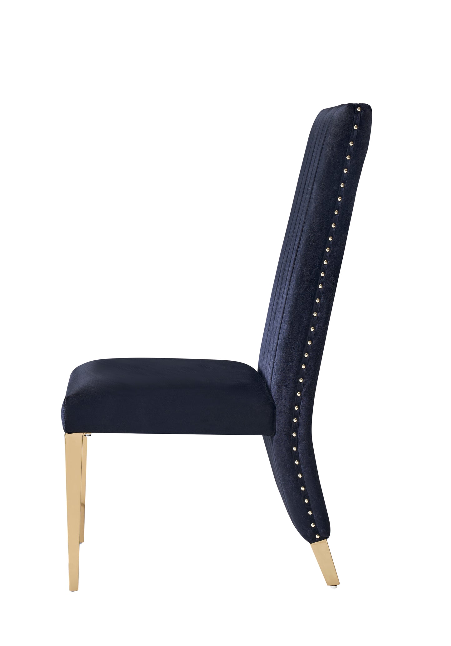 Modrest Keisha Modern Black Velvet and Gold Dining Chair Set of 2