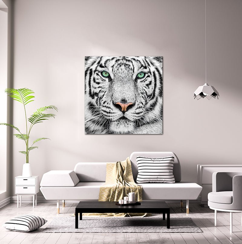 Oppidan Home "Snow Tiger" Acrylic Wall Art 40"H X 40"W