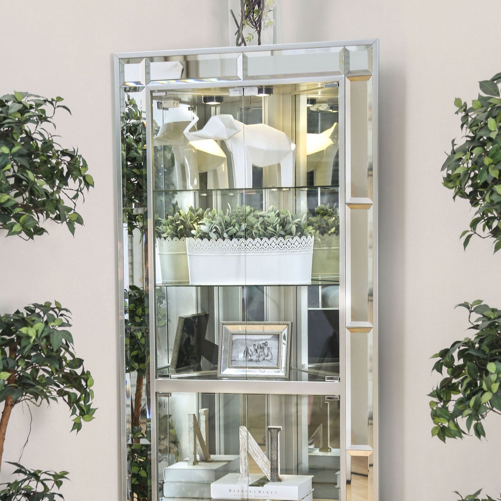 Contemporary Fully Mirrored Curio With