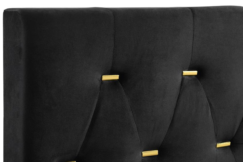 Kendall Velvet Panel Bed in Black & Gold
