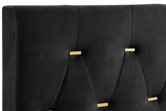 Kendall Velvet Panel Bed in Black & Gold - Queen