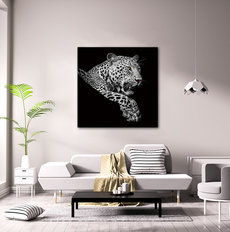 Oppidan Home "Leopard in Black and White" Acrylic Wall Art 40"H X 40"W