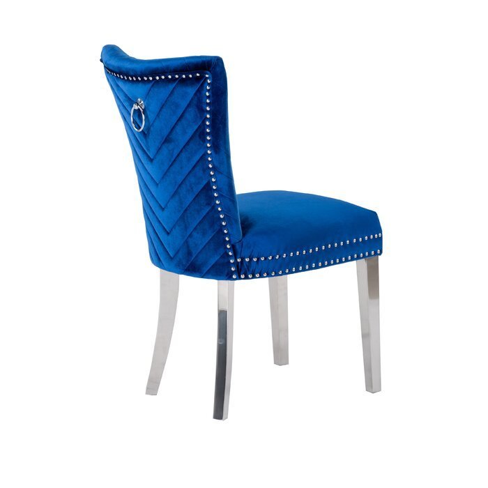 Eva Transitional Velvet Dining Chair with Stainless Steel Legs in Blue Set of 2