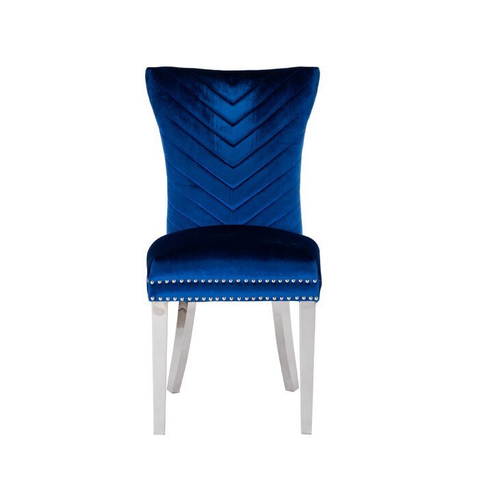 Eva Transitional Velvet Dining Chair with Stainless Steel Legs in Blue Set of 2